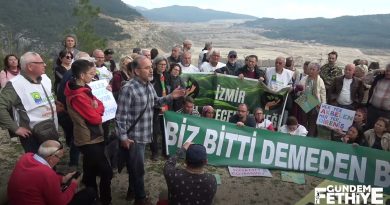 Akbelen’de zeytinlikler kanunsuzca sökülüyor