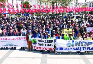 Sinop NGS Çed Davası Dosyasına Sunulan Bilirkişi Raporu Hükme Esas Alınamaz