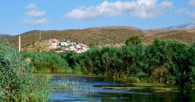 KARABURUN KÜÇÜKBAHÇE’DE DGES PROJESİ DAVASINDA ÇED İPTAL EDİLDİ. KARAR DOĞADAN VE YAŞAMDAN YANA